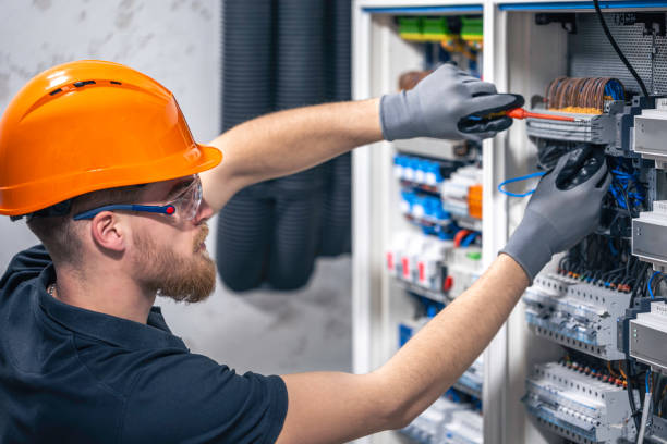 Best Electric Panel Repair  in Stevensville, MD